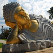 仏陀の教え－仏陀の死後